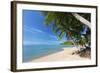 Palm Trees Overhanging Bangrak Beach, Koh Samui, Thailand, Southeast Asia, Asia-Lee Frost-Framed Photographic Print