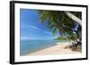 Palm Trees Overhanging Bangrak Beach, Koh Samui, Thailand, Southeast Asia, Asia-Lee Frost-Framed Photographic Print