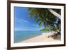 Palm Trees Overhanging Bangrak Beach, Koh Samui, Thailand, Southeast Asia, Asia-Lee Frost-Framed Photographic Print