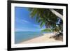 Palm Trees Overhanging Bangrak Beach, Koh Samui, Thailand, Southeast Asia, Asia-Lee Frost-Framed Photographic Print