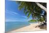 Palm Trees Overhanging Bangrak Beach, Koh Samui, Thailand, Southeast Asia, Asia-Lee Frost-Mounted Photographic Print