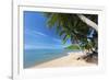 Palm Trees Overhanging Bangrak Beach, Koh Samui, Thailand, Southeast Asia, Asia-Lee Frost-Framed Photographic Print