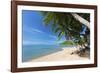 Palm Trees Overhanging Bangrak Beach, Koh Samui, Thailand, Southeast Asia, Asia-Lee Frost-Framed Photographic Print