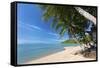 Palm Trees Overhanging Bangrak Beach, Koh Samui, Thailand, Southeast Asia, Asia-Lee Frost-Framed Stretched Canvas