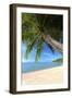 Palm Trees Overhanging Bangrak Beach, Koh Samui, Thailand, Southeast Asia, Asia-Lee Frost-Framed Photographic Print