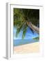 Palm Trees Overhanging Bangrak Beach, Koh Samui, Thailand, Southeast Asia, Asia-Lee Frost-Framed Photographic Print