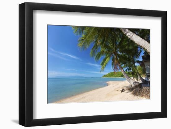 Palm Trees Overhanging Bangrak Beach, Koh Samui, Thailand, Southeast Asia, Asia-Lee Frost-Framed Photographic Print