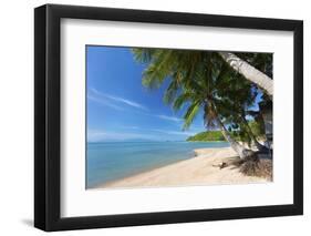 Palm Trees Overhanging Bangrak Beach, Koh Samui, Thailand, Southeast Asia, Asia-Lee Frost-Framed Photographic Print