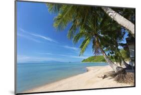 Palm Trees Overhanging Bangrak Beach, Koh Samui, Thailand, Southeast Asia, Asia-Lee Frost-Mounted Photographic Print