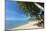 Palm Trees Overhanging Bangrak Beach, Koh Samui, Thailand, Southeast Asia, Asia-Lee Frost-Mounted Photographic Print