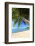 Palm Trees Overhanging Bangrak Beach, Koh Samui, Thailand, Southeast Asia, Asia-Lee Frost-Framed Photographic Print