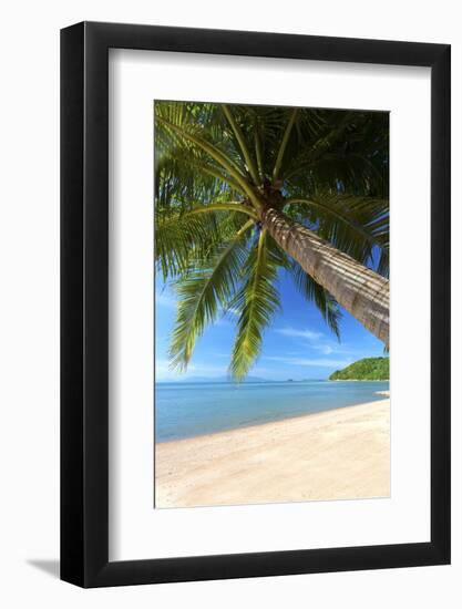 Palm Trees Overhanging Bangrak Beach, Koh Samui, Thailand, Southeast Asia, Asia-Lee Frost-Framed Photographic Print