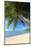 Palm Trees Overhanging Bangrak Beach, Koh Samui, Thailand, Southeast Asia, Asia-Lee Frost-Mounted Photographic Print