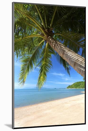 Palm Trees Overhanging Bangrak Beach, Koh Samui, Thailand, Southeast Asia, Asia-Lee Frost-Mounted Photographic Print