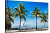 Palm Trees overlooking Downtown Miami - Florida-Philippe Hugonnard-Stretched Canvas