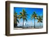 Palm Trees overlooking Downtown Miami - Florida-Philippe Hugonnard-Framed Photographic Print