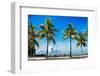 Palm Trees overlooking Downtown Miami - Florida-Philippe Hugonnard-Framed Photographic Print