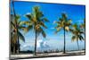 Palm Trees overlooking Downtown Miami - Florida-Philippe Hugonnard-Mounted Photographic Print