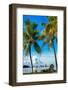 Palm Trees overlooking Downtown Miami - Florida-Philippe Hugonnard-Framed Photographic Print