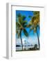 Palm Trees overlooking Downtown Miami - Florida-Philippe Hugonnard-Framed Photographic Print