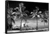 Palm Trees overlooking Downtown Miami - Florida-Philippe Hugonnard-Framed Stretched Canvas