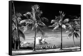 Palm Trees overlooking Downtown Miami - Florida-Philippe Hugonnard-Framed Stretched Canvas