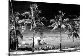 Palm Trees overlooking Downtown Miami - Florida-Philippe Hugonnard-Stretched Canvas