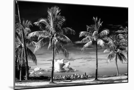 Palm Trees overlooking Downtown Miami - Florida-Philippe Hugonnard-Mounted Photographic Print