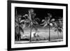 Palm Trees overlooking Downtown Miami - Florida-Philippe Hugonnard-Framed Photographic Print