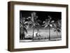Palm Trees overlooking Downtown Miami - Florida-Philippe Hugonnard-Framed Premium Photographic Print