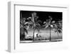 Palm Trees overlooking Downtown Miami - Florida-Philippe Hugonnard-Framed Premium Photographic Print