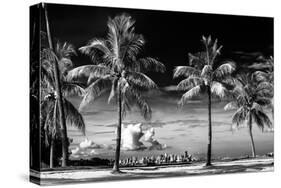 Palm Trees overlooking Downtown Miami - Florida-Philippe Hugonnard-Stretched Canvas