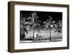 Palm Trees overlooking Downtown Miami - Florida-Philippe Hugonnard-Framed Photographic Print