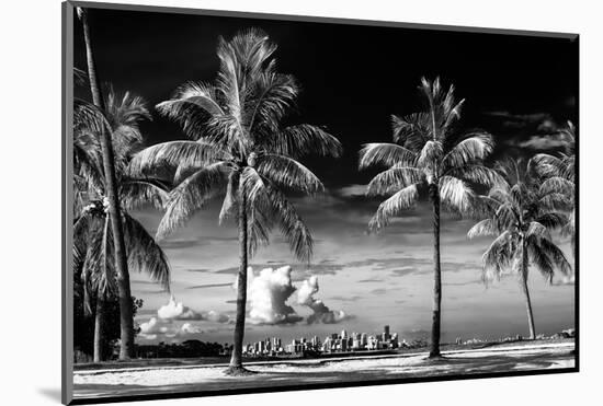 Palm Trees overlooking Downtown Miami - Florida-Philippe Hugonnard-Mounted Photographic Print