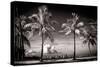 Palm Trees overlooking Downtown Miami - Florida-Philippe Hugonnard-Stretched Canvas