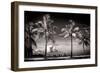 Palm Trees overlooking Downtown Miami - Florida-Philippe Hugonnard-Framed Photographic Print