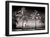 Palm Trees overlooking Downtown Miami - Florida-Philippe Hugonnard-Framed Photographic Print