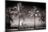 Palm Trees overlooking Downtown Miami - Florida-Philippe Hugonnard-Mounted Photographic Print