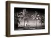 Palm Trees overlooking Downtown Miami - Florida-Philippe Hugonnard-Framed Photographic Print