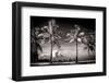 Palm Trees overlooking Downtown Miami - Florida-Philippe Hugonnard-Framed Photographic Print