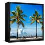 Palm Trees overlooking Downtown Miami - Florida-Philippe Hugonnard-Framed Stretched Canvas