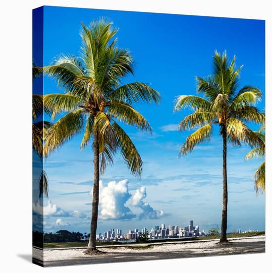 Palm Trees overlooking Downtown Miami - Florida-Philippe Hugonnard-Stretched Canvas