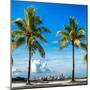 Palm Trees overlooking Downtown Miami - Florida-Philippe Hugonnard-Mounted Photographic Print