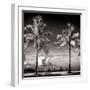 Palm Trees overlooking Downtown Miami - Florida-Philippe Hugonnard-Framed Photographic Print