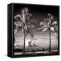 Palm Trees overlooking Downtown Miami - Florida-Philippe Hugonnard-Framed Stretched Canvas