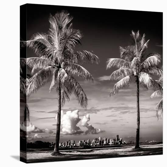 Palm Trees overlooking Downtown Miami - Florida-Philippe Hugonnard-Stretched Canvas