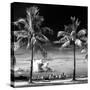 Palm Trees overlooking Downtown Miami - Florida-Philippe Hugonnard-Stretched Canvas