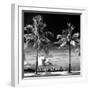 Palm Trees overlooking Downtown Miami - Florida-Philippe Hugonnard-Framed Photographic Print