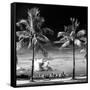 Palm Trees overlooking Downtown Miami - Florida-Philippe Hugonnard-Framed Stretched Canvas