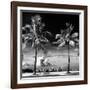 Palm Trees overlooking Downtown Miami - Florida-Philippe Hugonnard-Framed Photographic Print